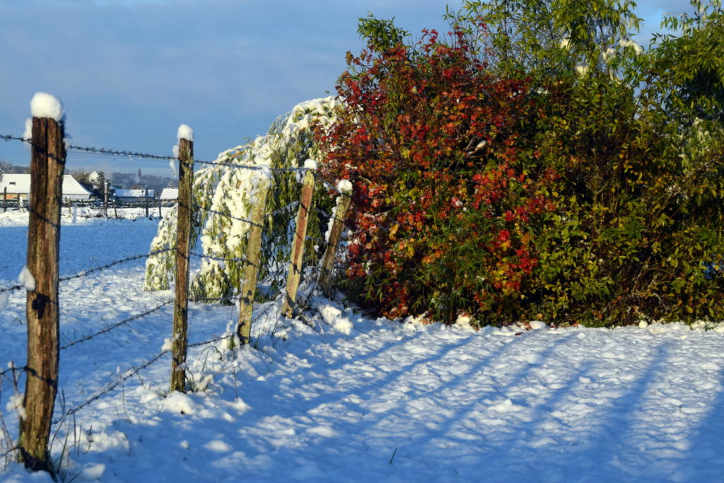 Hiver et l'automne se rencontrent
