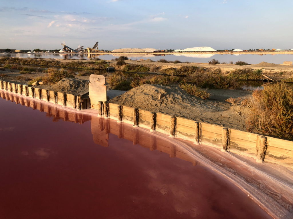 Les salins du midi en Camargue